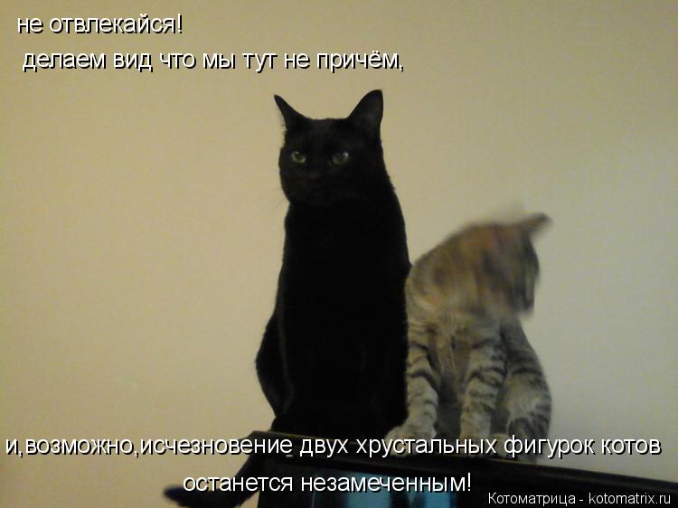 Котоматрица: не отвлекайся! делаем вид что мы тут не причём, и,возможно,исчезновение двух хрустальных фигурок котов останется незамеченным!