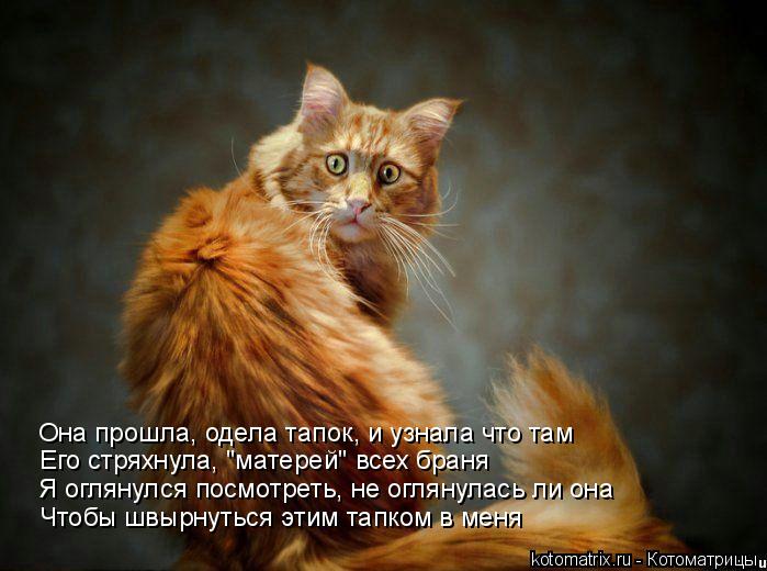 Чтобы швырнуться этим тапком в меня Я оглянулся посмотреть, не оглянулась ли она Она прошла, одела та... Котоматрица: Чтобы швырнуться этим тапком в меня Я оглянулся посмотреть, не оглянулась ли она Она прошла, одела тапок, и узнала что там Его стряхнула, "ма