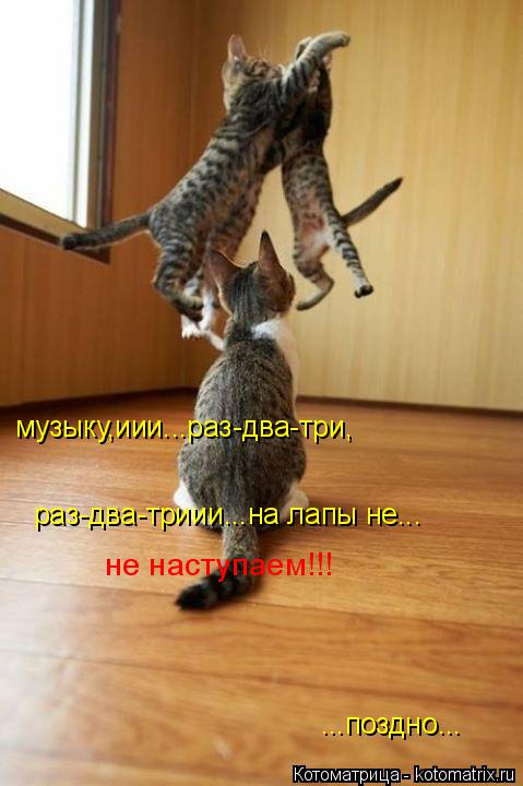 музыку,иии...раз-два-три, раз-два-триии...на лапы не... не наступаем!!! ...поздно...... Котоматрица: музыку,иии...раз-два-три, раз-два-триии...на лапы не... не наступаем!!! ...поздно...