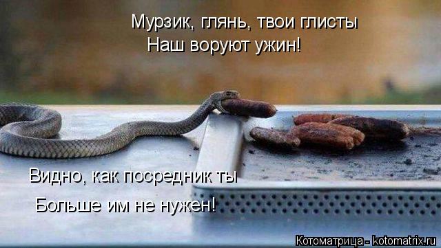 Мурзик, глянь, твои глисты Наш воруют ужин! Видно, как посредник ты Больше им не нужен!... Котоматрица: Мурзик, глянь, твои глисты Наш воруют ужин! Видно, как посредник ты Больше им не нужен!