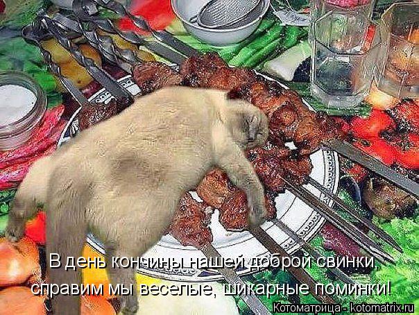 В день кончины нашей доброй свинки, справим мы веселые, шикарные поминки!... Котоматрица: В день кончины нашей доброй свинки, справим мы веселые, шикарные поминки!