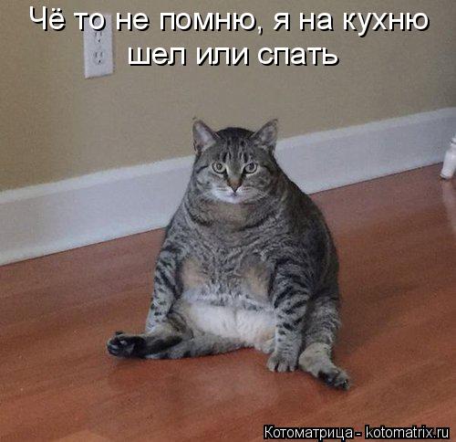 Чё то не помню, я на кухню шел или спать... Котоматрица: Чё то не помню, я на кухню шел или спать