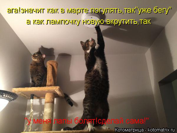 ага!значит как в марте погулять,так"уже бегу" а как лампочку новую вкрутить,так "у меня лапы болят!сд... Котоматрица: ага!значит как в марте погулять,так"уже бегу" а как лампочку новую вкрутить,так "у меня лапы болят!сделай сама!"