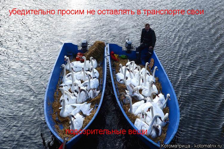 убедительно просим не оставлять в транспорте свои подозрительные вещи... Котоматрица: убедительно просим не оставлять в транспорте свои подозрительные вещи