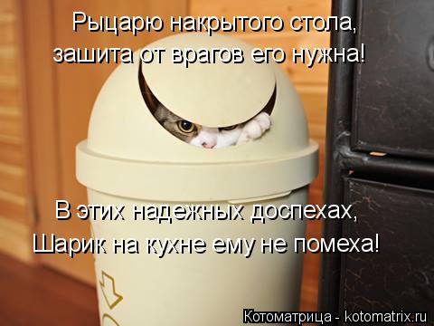 В этих надежных доспехах, Рыцарю накрытого стола, зашита от врагов его нужна! Шарик на кухне ему не ... Котоматрица: В этих надежных доспехах, Рыцарю накрытого стола, зашита от врагов его нужна! Шарик на кухне ему не помеха!