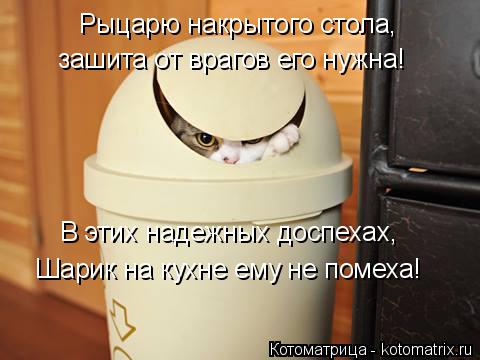 Котоматрица: В этих надежных доспехах,  Рыцарю накрытого стола, зашита от врагов его нужна! Шарик на кухне ему не помеха!