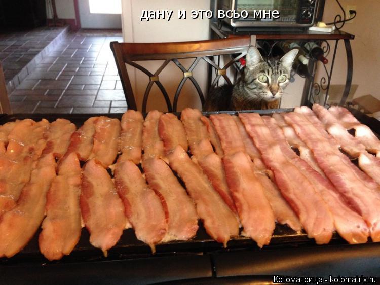 дану и это всьо мне... Котоматрица: дану и это всьо мне