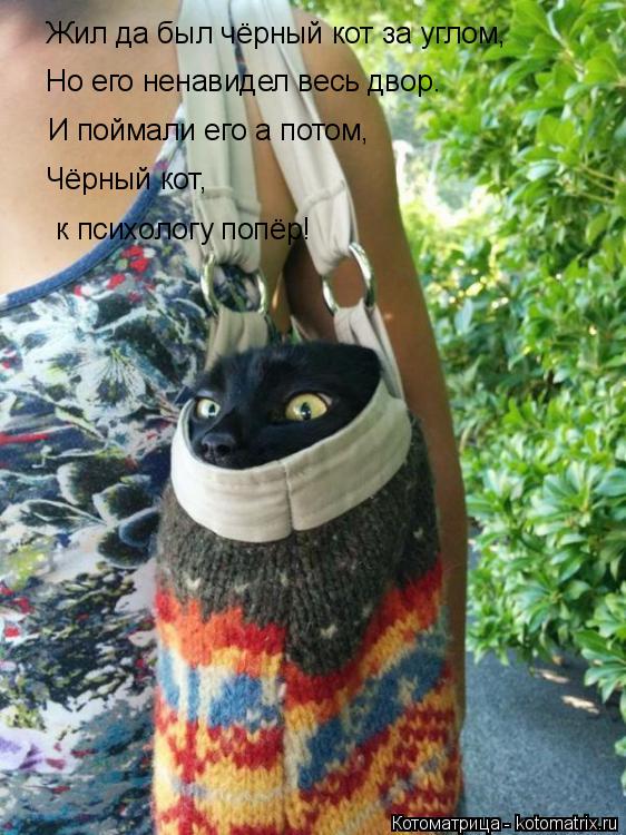 Жил да был чёрный кот за углом, Но его ненавидел весь двор. И поймали его а потом, Чёрный кот, к пси... Котоматрица: Жил да был чёрный кот за углом, Но его ненавидел весь двор. И поймали его а потом, Чёрный кот, к психологу попёр!