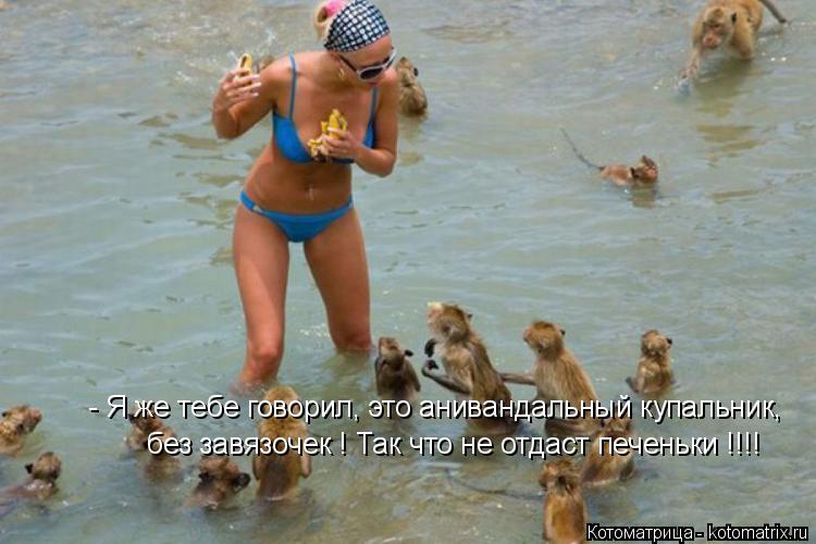 - Я же тебе говорил, это анивандальный купальник, без завязочек ! Так что не отдаст печеньки !!!!... Котоматрица: - Я же тебе говорил, это анивандальный купальник, без завязочек ! Так что не отдаст печеньки !!!!