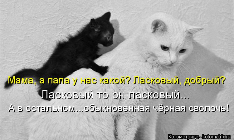 Мама, а папа у нас какой? Ласковый, добрый? Ласковый то он ласковый... А в остальном...обыкновенная ч... Котоматрица: Мама, а папа у нас какой? Ласковый, добрый? Ласковый то он ласковый... А в остальном...обыкновенная чёрная сволочь!