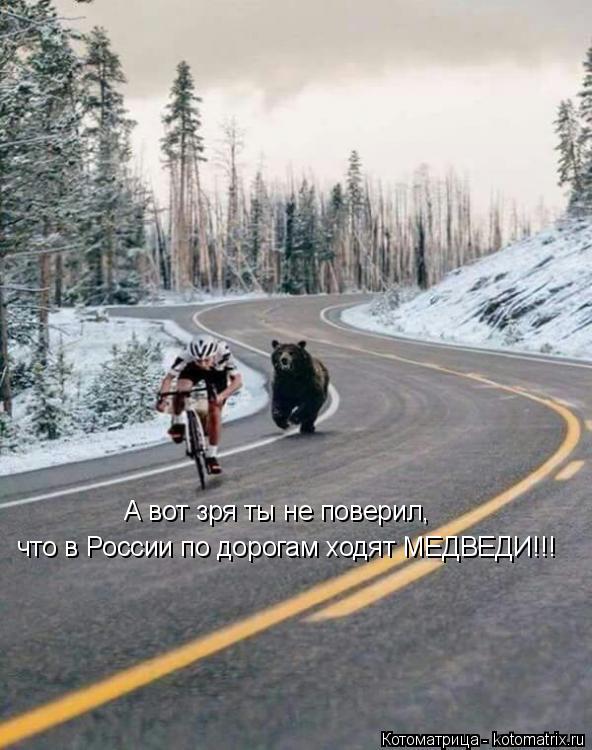 Котоматрица: А вот зря ты не поверил,  что в России по дорогам ходят МЕДВЕДИ!!!