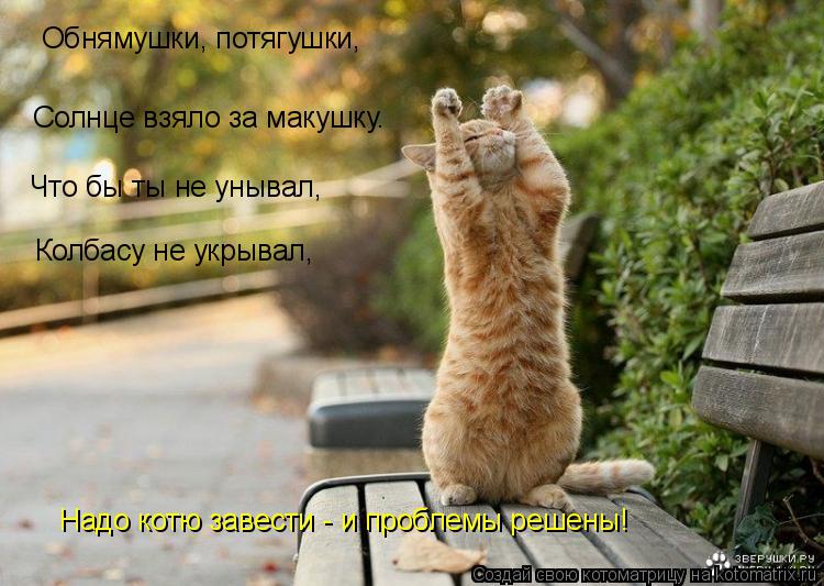 Обнямушки, потягушки, Солнце взяло за макушку. Что бы ты не унывал, Колбасу не укрывал, Надо котю зав... Котоматрица: Обнямушки, потягушки, Солнце взяло за макушку. Что бы ты не унывал, Колбасу не укрывал, Надо котю завести - и проблемы решены!