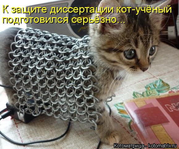К защите диссертации кот-учёный подготовился серьёзно...... Котоматрица: К защите диссертации кот-учёный подготовился серьёзно...
