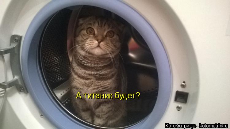 А титаник будет?... Котоматрица: А титаник будет?