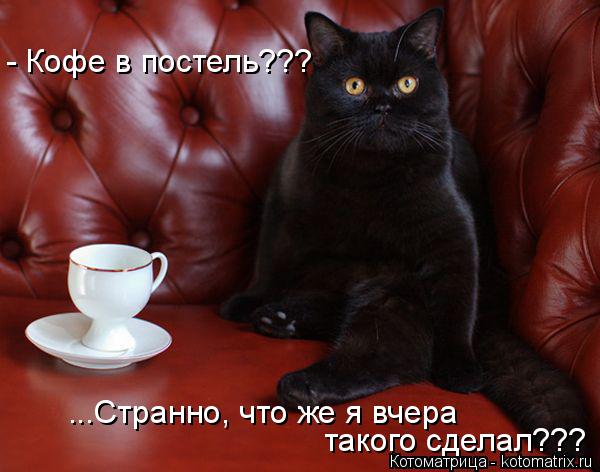 - Кофе в постель??? ...Странно, что же я вчера такого сделал???... Котоматрица: - Кофе в постель??? ...Странно, что же я вчера такого сделал???