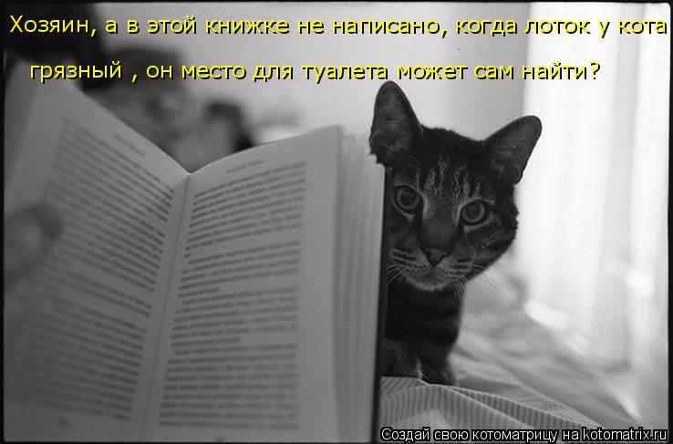 Хозяин, а в этой книжке не написано, когда лоток у кота грязный , он место для туалета может сам найт... Котоматрица: Хозяин, а в этой книжке не написано, когда лоток у кота грязный , он место для туалета может сам найти?