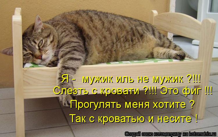 Я - мужик иль не мужик ?!!! Слезть с кровати ?!!! Это фиг !!! Прогулять меня хотите ? Так с кроватью... Котоматрица: Я - мужик иль не мужик ?!!! Слезть с кровати ?!!! Это фиг !!! Прогулять меня хотите ? Так с кроватью и несите !