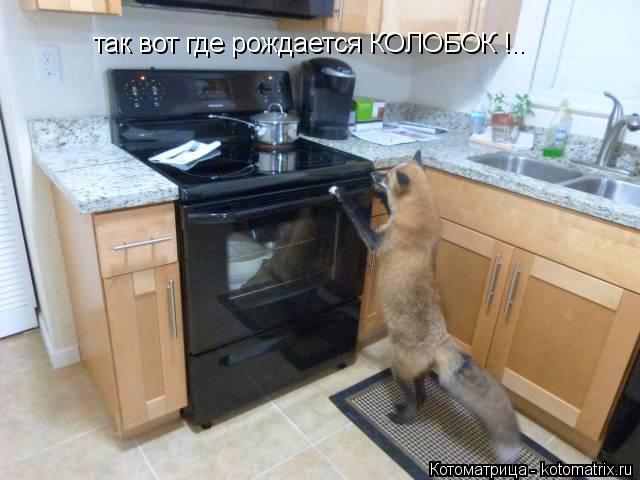 так вот где рождается КОЛОБОК !..... Котоматрица: так вот где рождается КОЛОБОК !..