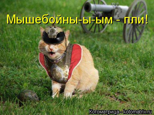 Мышебойны-ы-ым - пли!... Котоматрица: Мышебойны-ы-ым - пли!