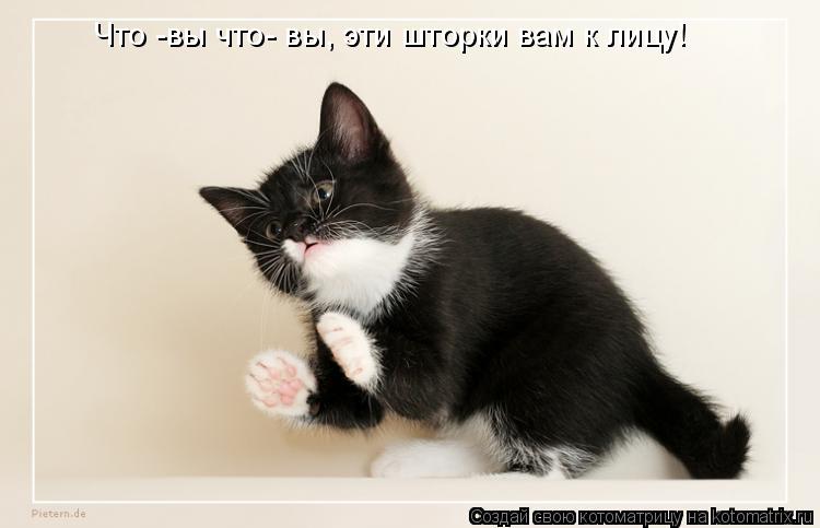 Что -вы что- вы, эти шторки вам к лицу!... Котоматрица: Что -вы что- вы, эти шторки вам к лицу!