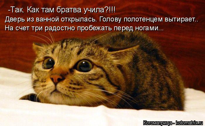 -Так. Как там братва учила?!!! Дверь из ванной открылась. Голову полотенцем вытирает.. На счет три ра... Котоматрица: -Так. Как там братва учила?!!! Дверь из ванной открылась. Голову полотенцем вытирает.. На счет три радостно пробежать перед ногами...