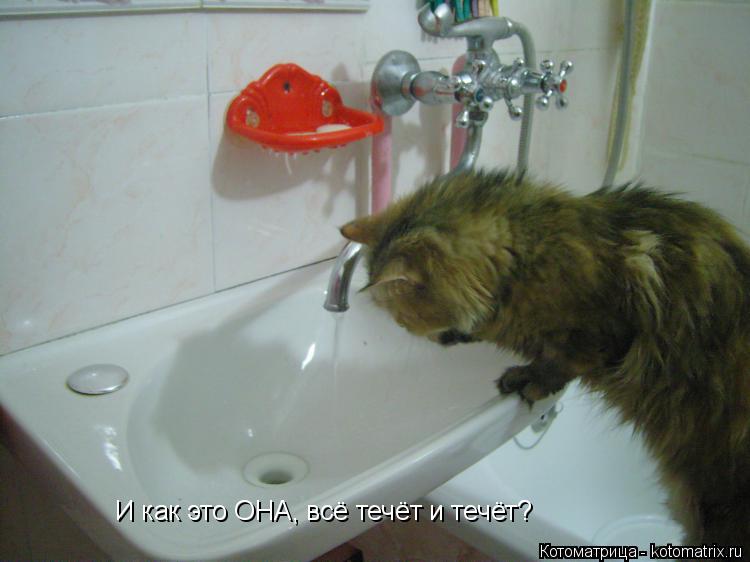 И как это ОНА, всё течёт и течёт?... Котоматрица: И как это ОНА, всё течёт и течёт?