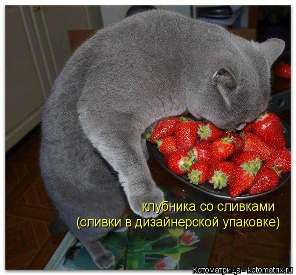 клубника со сливками (сливки в дизайнерской упаковке)... Котоматрица: клубника со сливками (сливки в дизайнерской упаковке)