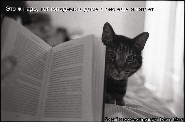 Это ж надо, кот голодный в доме а оно еще и читает!... Котоматрица: Это ж надо, кот голодный в доме а оно еще и читает!
