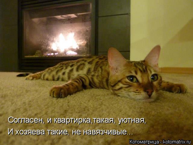 И хозяева такие, не навязчивые... Согласен, и квартирка,такая, уютная,... Котоматрица: И хозяева такие, не навязчивые... Согласен, и квартирка,такая, уютная,