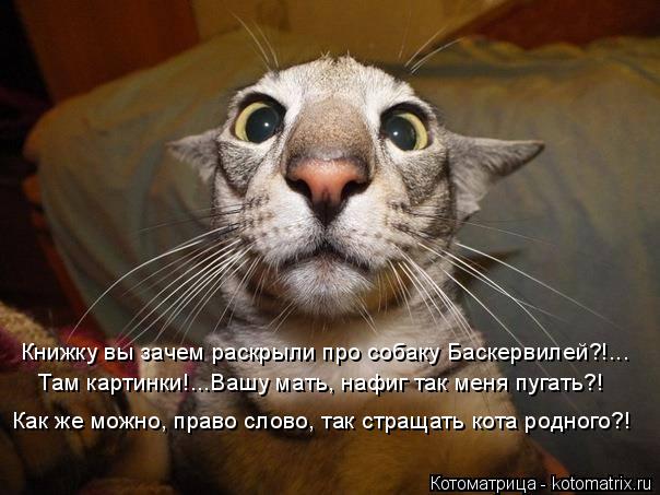 Книжку вы зачем раскрыли про собаку Баскервилей?!... Там картинки!...Вашу мать, нафиг так меня пугать... Котоматрица: Книжку вы зачем раскрыли про собаку Баскервилей?!... Там картинки!...Вашу мать, нафиг так меня пугать?! Как же можно, право слово, так стращать к