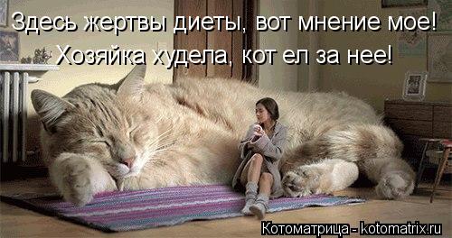 Здесь жертвы диеты, вот мнение мое! Хозяйка худела, кот ел за нее!... Котоматрица: Здесь жертвы диеты, вот мнение мое! Хозяйка худела, кот ел за нее!