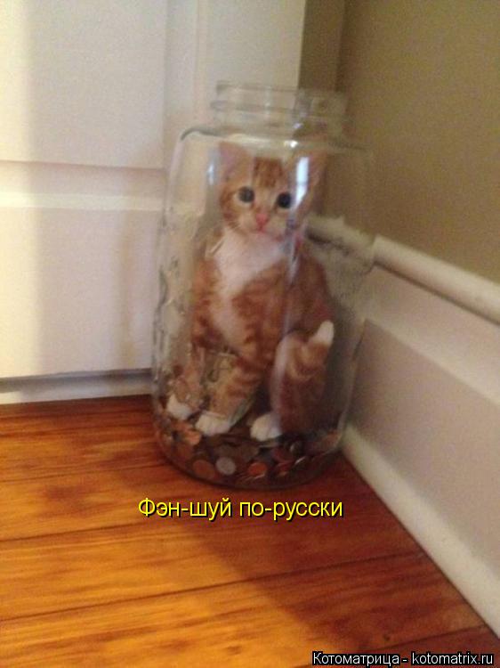 Фэн-шуй по-русски... Котоматрица: Фэн-шуй по-русски