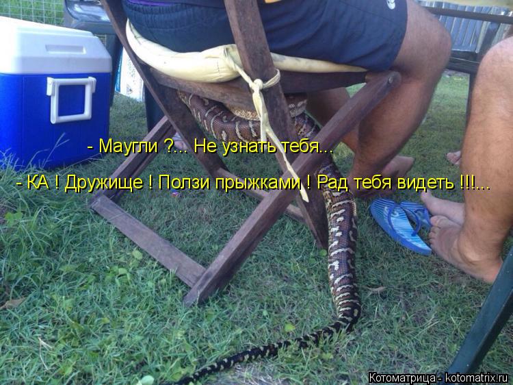 - Маугли ?... Не узнать тебя... - КА ! Дружище ! Ползи прыжками ! Рад тебя видеть !!!...... Котоматрица: - Маугли ?... Не узнать тебя... - КА ! Дружище ! Ползи прыжками ! Рад тебя видеть !!!...