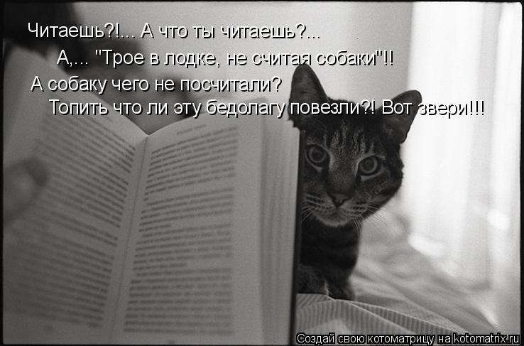 Читаешь?!... А что ты читаешь?... А,... "Трое в лодке, не считая собаки"!! А собаку чего не посчитали... Котоматрица: Читаешь?!... А что ты читаешь?... А,... "Трое в лодке, не считая собаки"!! А собаку чего не посчитали? Топить что ли эту бедолагу повезли?! Вот звери!!