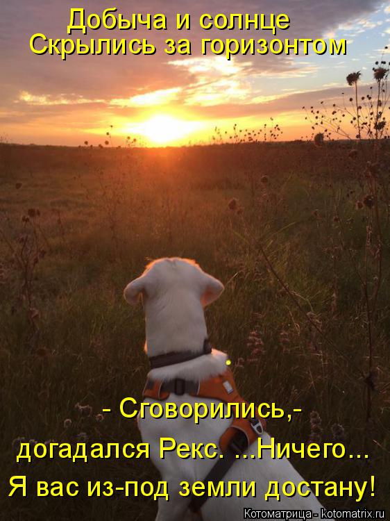 Добыча и солнце Скрылись за горизонтом - Сговорились,- Я вас из-под земли достану! догадался Рекс. ..... Котоматрица: Добыча и солнце Скрылись за горизонтом - Сговорились,- Я вас из-под земли достану! догадался Рекс. ...Ничего...