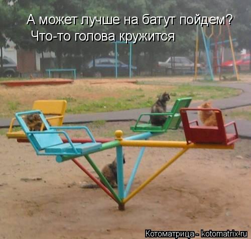 А может лучше на батут пойдем? Что-то голова кружится... Котоматрица: А может лучше на батут пойдем? Что-то голова кружится
