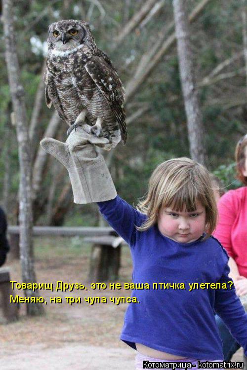 Товарищ Друзь, это не ваша птичка улетела? Меняю, на три чупа чупса.... Котоматрица: Товарищ Друзь, это не ваша птичка улетела? Меняю, на три чупа чупса.