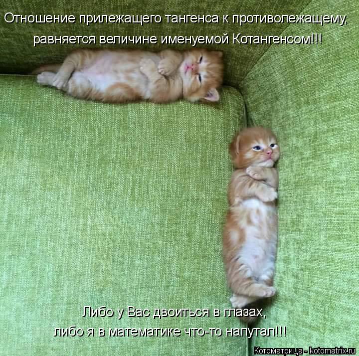 Отношение прилежащего тангенса к противолежащему, равняется величине именуемой Котангенсом!!! Либо у ... Котоматрица: Отношение прилежащего тангенса к противолежащему, равняется величине именуемой Котангенсом!!! Либо у Вас двоиться в глазах, либо я в матем