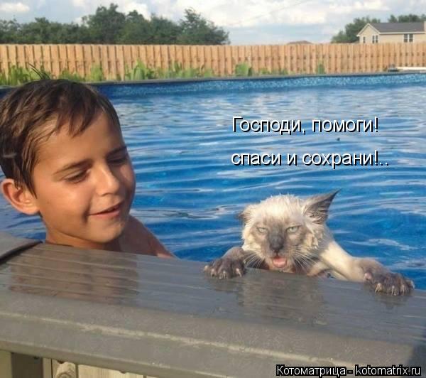 Господи, помоги! спаси и сохрани!..... Котоматрица: Господи, помоги! спаси и сохрани!..