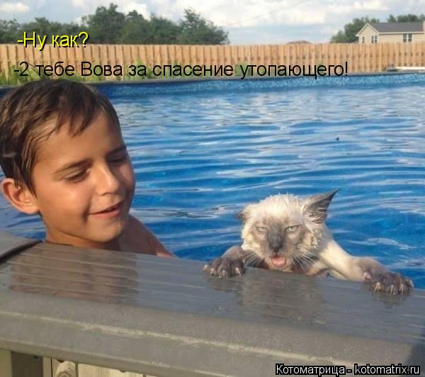-2 тебе Вова за спасение утопающего! -Ну как?... Котоматрица: -2 тебе Вова за спасение утопающего! -Ну как?