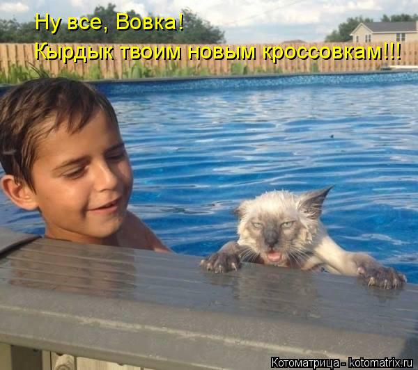 Ну все, Вовка! Кырдык твоим новым кроссовкам!!!... Котоматрица: Ну все, Вовка! Кырдык твоим новым кроссовкам!!!