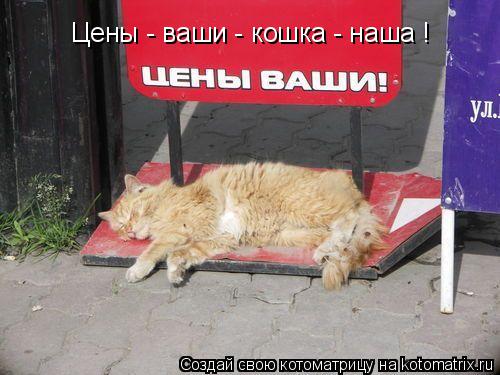 Цены - ваши - кошка - наша !... Котоматрица: Цены - ваши - кошка - наша !