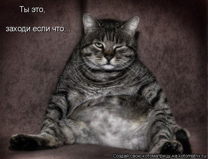 Ты это, заходи если что...... Котоматрица: Ты это, заходи если что...