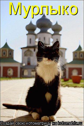 Мурлыко... Котоматрица: Мурлыко