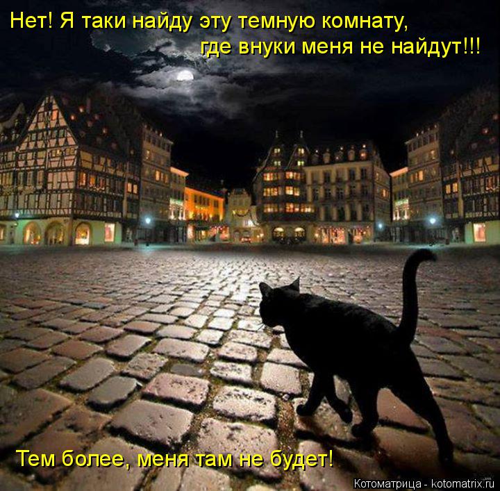 Нет! Я таки найду эту темную комнату, где внуки меня не найдут!!! Тем более, меня там не будет!... Котоматрица: Нет! Я таки найду эту темную комнату, где внуки меня не найдут!!! Тем более, меня там не будет!