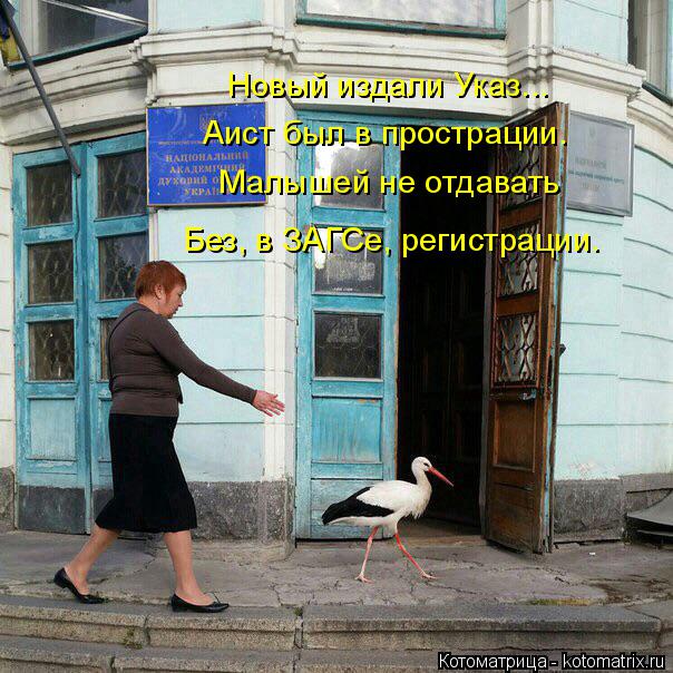 Новый издали Указ... Аист был в прострации. Малышей не отдавать Без, в ЗАГСе, регистрации.... Котоматрица: Новый издали Указ... Аист был в прострации. Малышей не отдавать Без, в ЗАГСе, регистрации.