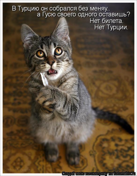 Котоматрица: В Турцию он собрался без меняу.. а Гусю своего одного оставишь? Нет билета. Нет Турции.