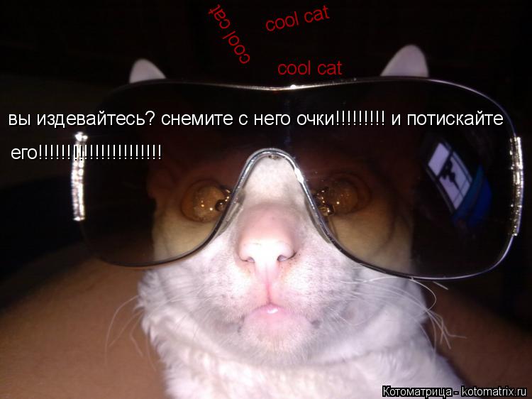 cool cat cool cat cool cat вы издевайтесь? снемите с него очки!!!!!!!!! и потискайте его!!!!!!!!!!!!... Котоматрица: cool cat cool cat cool cat вы издевайтесь? снемите с него очки!!!!!!!!! и потискайте его!!!!!!!!!!!!!!!!!!!!!!