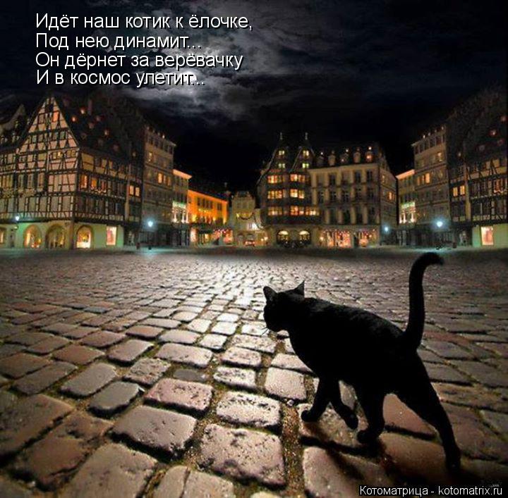Идёт наш котик к ёлочке, Под нею динамит... Он дёрнет за верёвачку И в космос улетит...... Котоматрица: Идёт наш котик к ёлочке, Под нею динамит... Он дёрнет за верёвачку И в космос улетит...