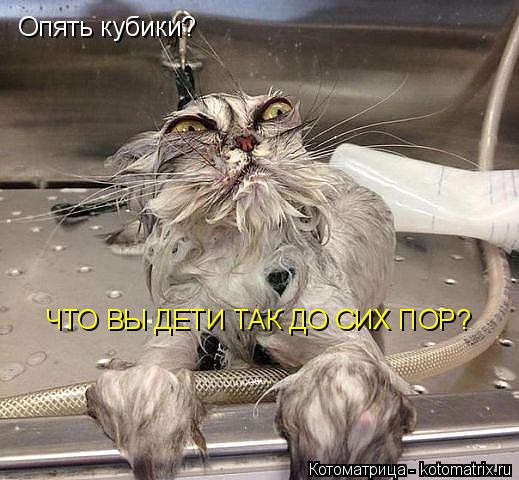 Котоматрица: Опять кубики? ЧТО ВЫ ДЕТИ ТАК ДО СИХ ПОР?